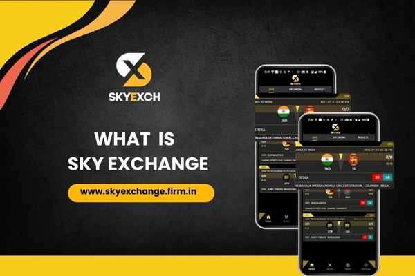 what is skyexchange id