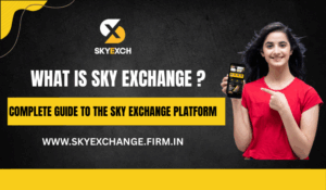 what is sky exchange