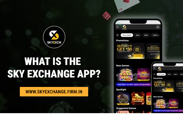 what is sky exchange